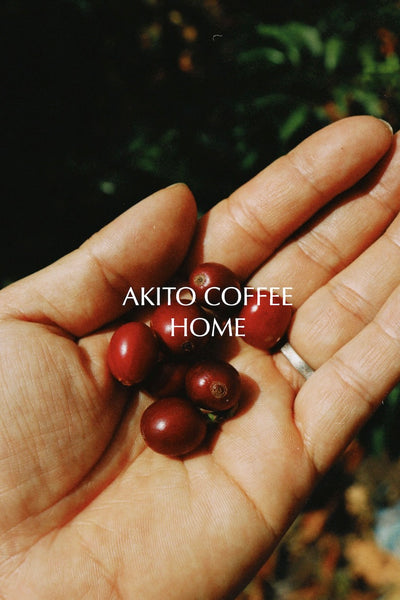 AKITO COFFEE HOME 【定期便】